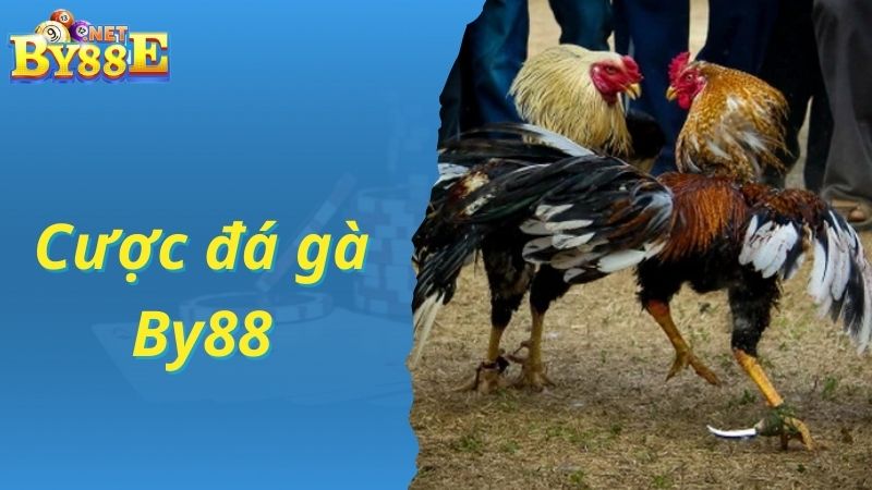 Đăng nhập và cược đá gà trực tuyến tại By88