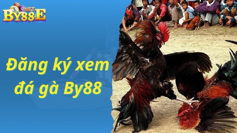 Đăng ký xem và cược đá gà online By88