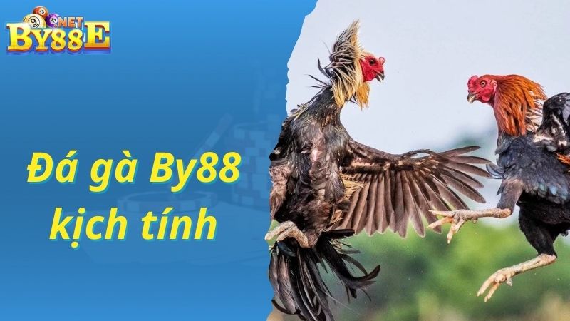 Tìm hiểu về sảnh cược đá gà By88