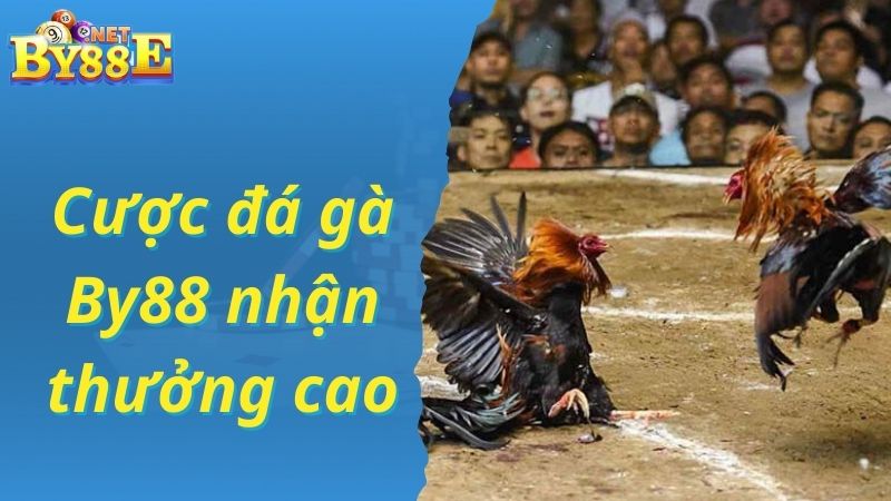 Sở hữu thưởng cực lớn với giá trị cao