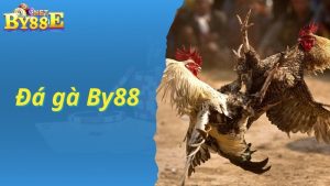 đá gà by88