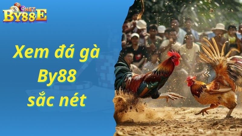 Thưởng thức trận đấu đá gà By88 chất lượng cao
